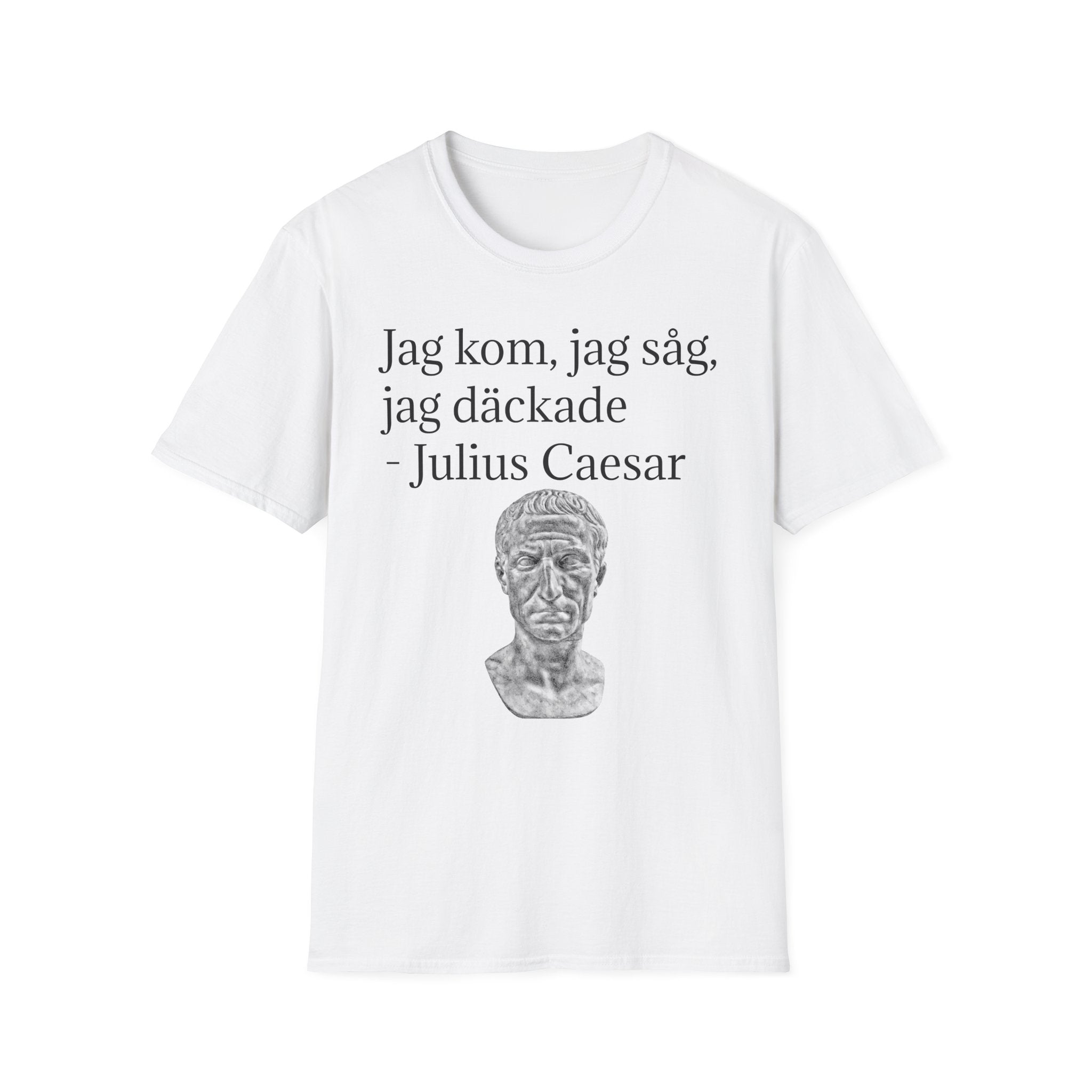 JAG KOM, JAG SÅG, JAG DÄCKADE T-shirt