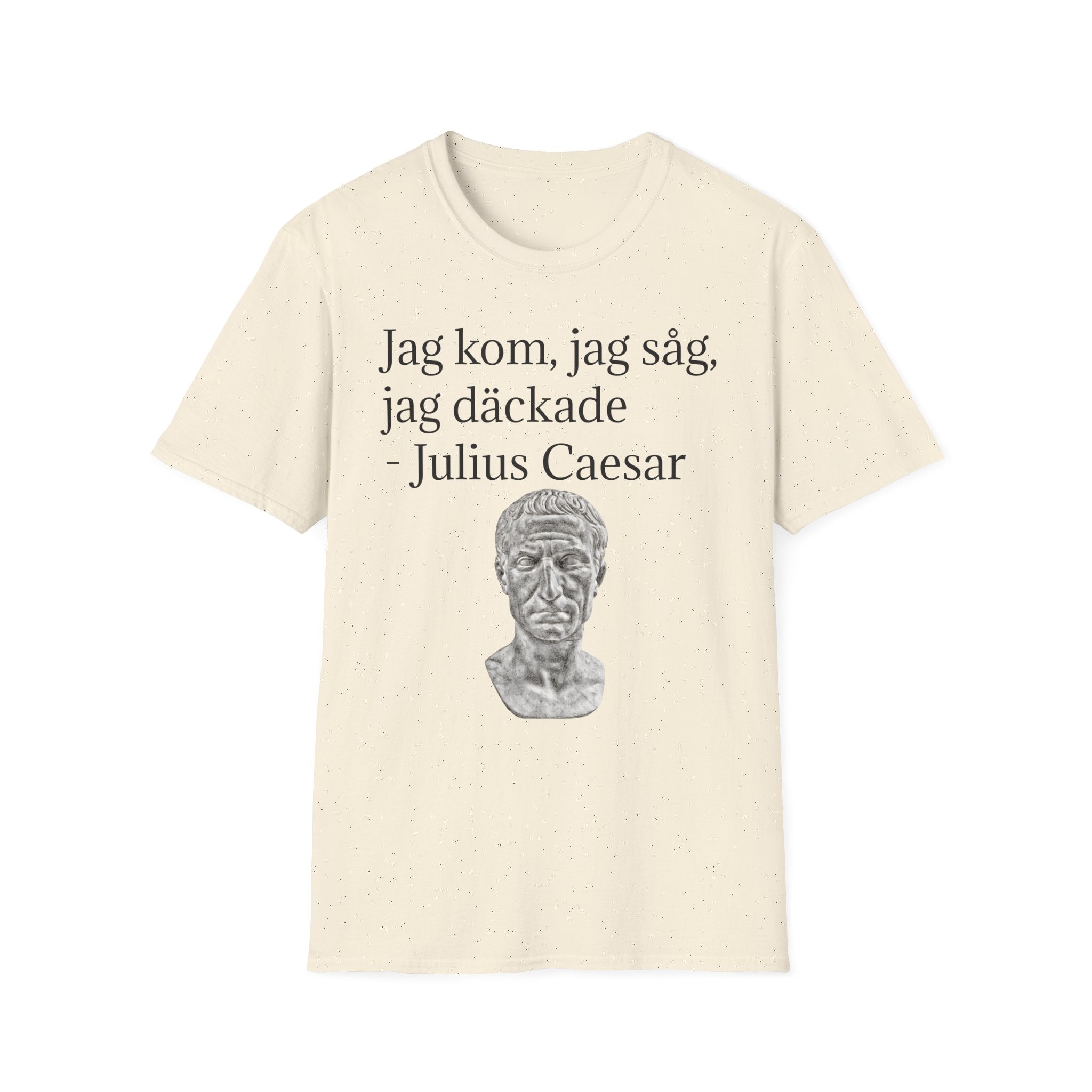 JAG KOM, JAG SÅG, JAG DÄCKADE T-shirt