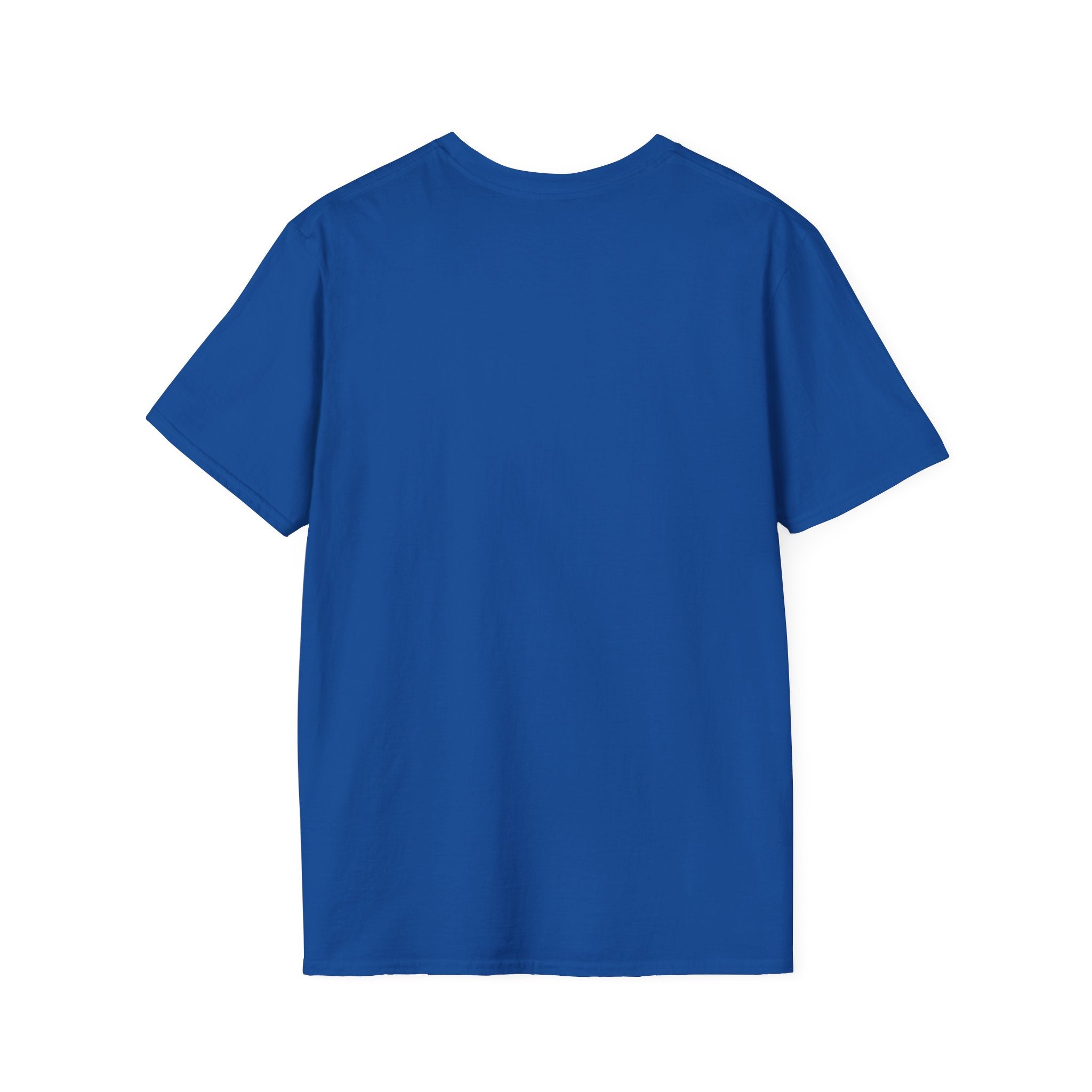 JAG KOM, JAG SÅG, JAG DÄCKADE T-shirt