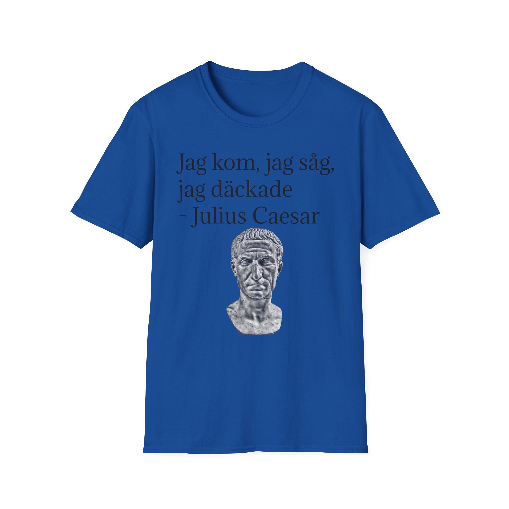 JAG KOM, JAG SÅG, JAG DÄCKADE T-shirt