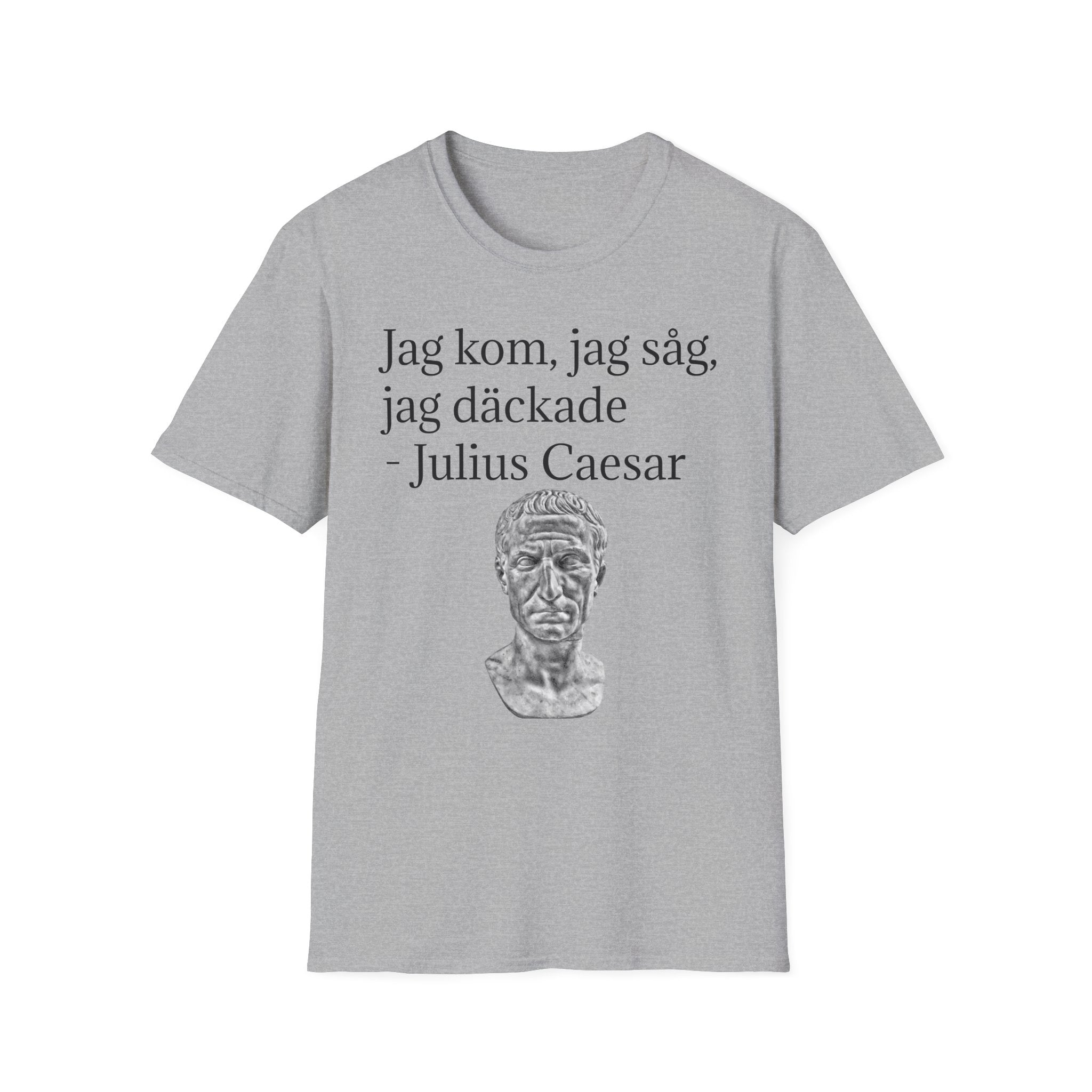 JAG KOM, JAG SÅG, JAG DÄCKADE T-shirt