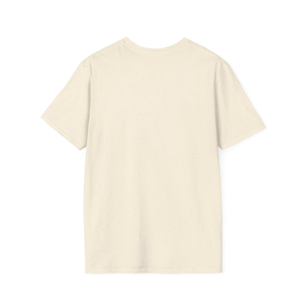 JAG KOM, JAG SÅG, JAG DÄCKADE T-shirt