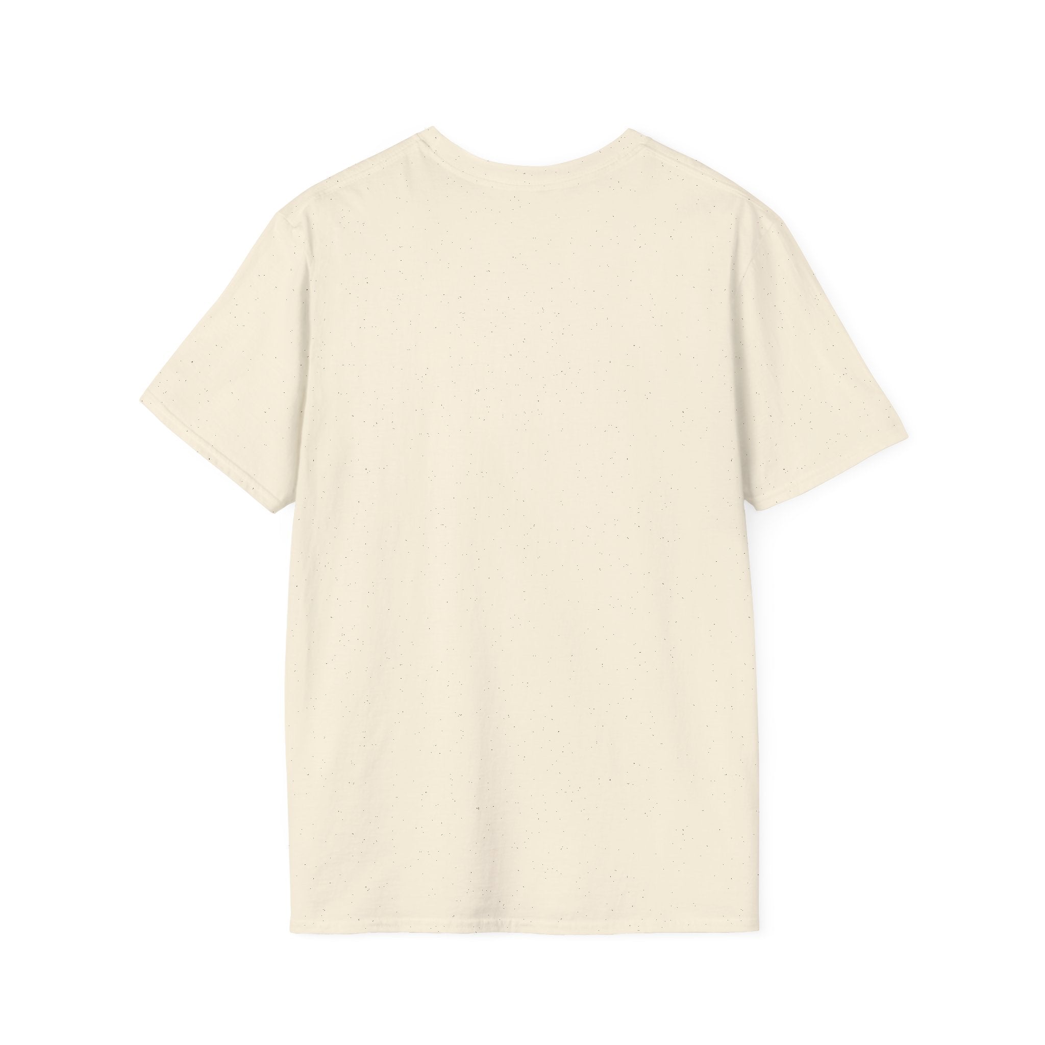 JAG KOM, JAG SÅG, JAG DÄCKADE T-shirt