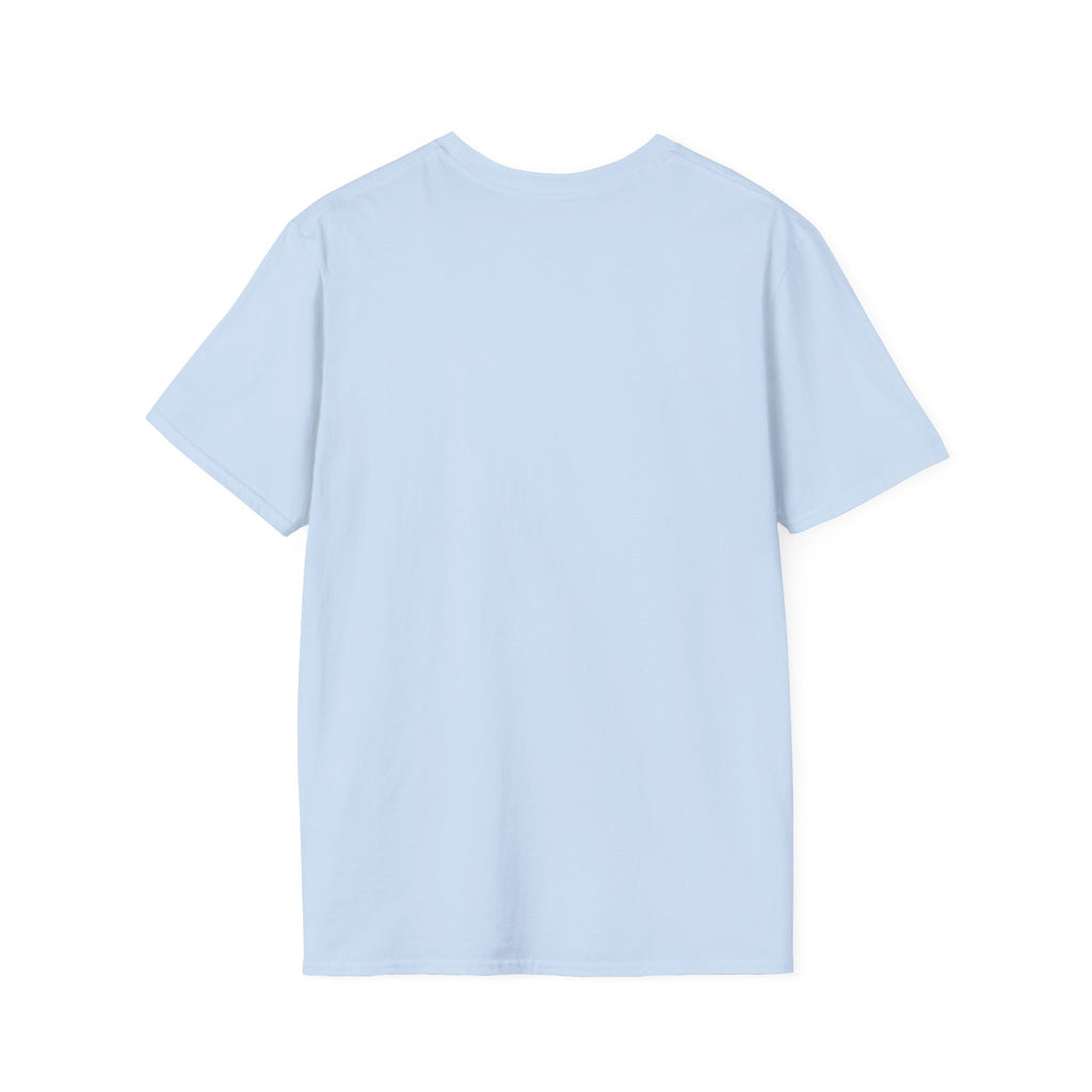 JAG KOM, JAG SÅG, JAG DÄCKADE T-shirt